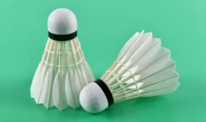 Cầu Lông Tại 988Bet