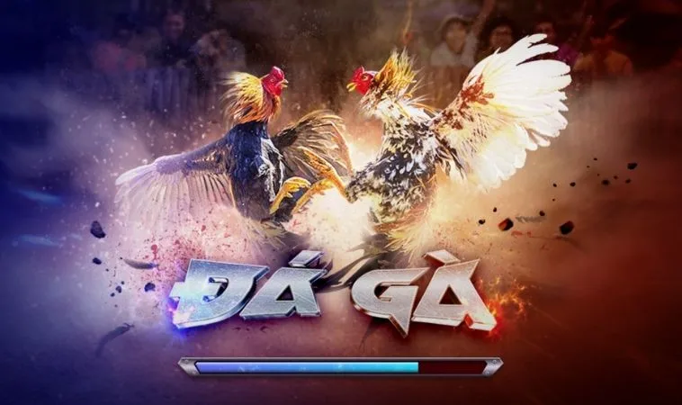 Đá Gà 3D Tại 988Bet