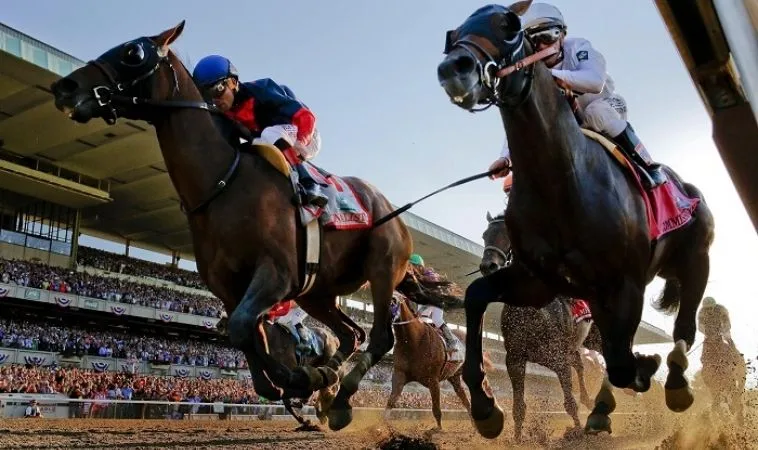 Cần tìm hiểu kỹ về bộ môn Đua Ngựa 988Bet trước khi cá cược