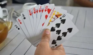 Sắc Tê Nhà Cái 988Bet